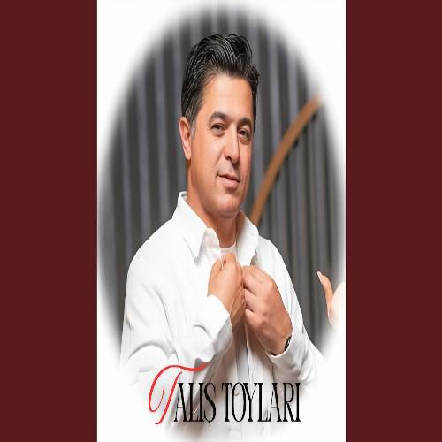 دانلود آهنگ شندی یامان شندی تالیش تویلاری از علی پرمهر